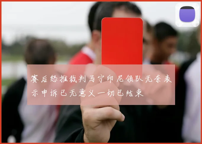赛后怒推裁判马宁印尼领队无奈表示申诉已无意义一切已结束