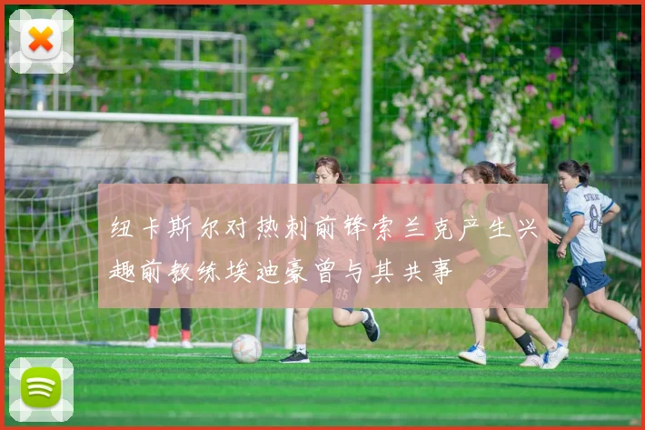 纽卡斯尔对热刺前锋索兰克产生兴趣前教练埃迪豪曾与其共事